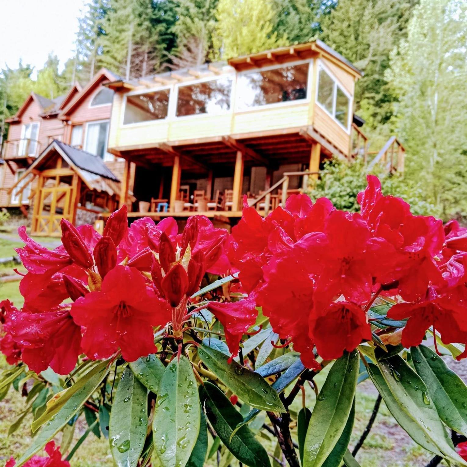 Hosteria Lekun Lekun Villa La Angostura Exterior foto